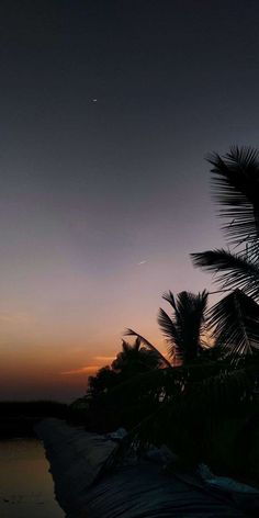 the sun is setting behind some palm trees