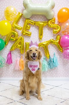 a dog sitting in front of balloons with the words happy new year written on it