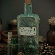 Tighnari Aesthetic, Forest Witch Aesthetic, Forestcore Aesthetic, Nature Witch, Witch Core, Cottage Witch, Aesthetic Core, Forest Core, Witches Altar