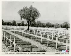 an old black and white photo of rows of trees