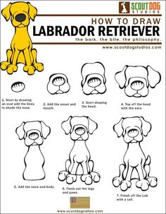 how to draw a cartoon labrador retriever dog with different poses and expressions for kids