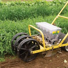 a yellow and black lawn mower sitting on top of a dirt field next to green grass