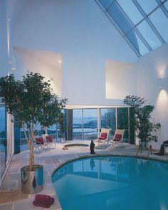 an indoor swimming pool with lounge chairs and a tree in the center, next to a large window