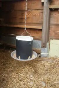 a bucket hanging from a chain in the hay