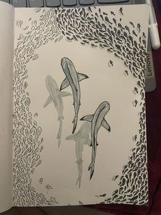 two dolphins are swimming in the water near an open book with pen and ink drawings on it