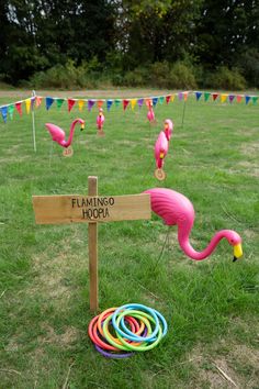 flamingo hoop tossers in the grass near a sign that says flamingo hoppa