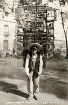 a man with a large stack of birds on his head and a hat over his head