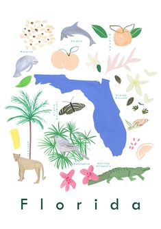 the florida map is surrounded by tropical plants and animals