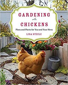 the book cover for gardening with chickens plans and plans for you and your hens