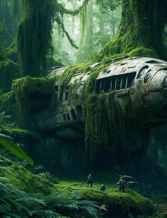 an old airplane in the middle of a forest with moss growing on it's sides