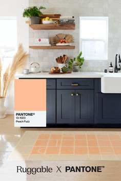 an image of a kitchen with blue cabinets and beige flooring that is painted in pantone's new color scheme