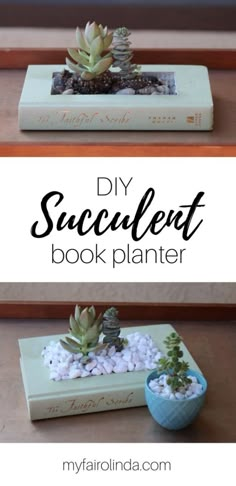 an easy diy succulent book planter with rocks in it