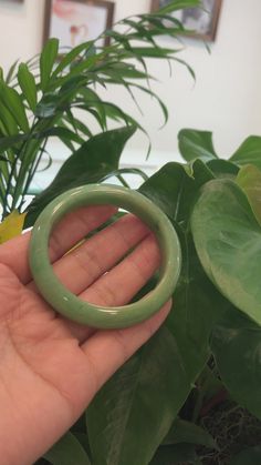 Genuine Burmese Jadeite Bangle Bracelet | Baikalla Jewelry Jade Bangle Bracelet, Unique Bangle, Yellowish Green, Jade Bangle, Jade Jewelry, Burmese, Bangle Bracelet, Personalized Jewelry, Green Colors