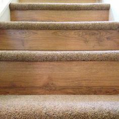 carpeted stairs leading up and down to the top floor in a house or home