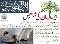 an advertisement for pakistan's national tree