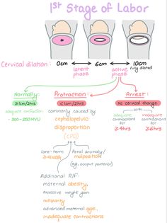 a diagram showing the stages of an individual's labor and how to use it