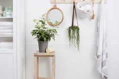 a potted plant sitting on top of a wooden stool next to a mirror and shelf