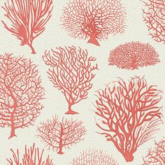 an image of corals on the beach in red and cream colors seamless background