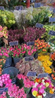 many different colored flowers in buckets for sale at a flower shop with price signs