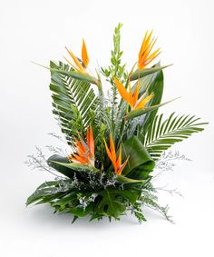 an arrangement of tropical plants and flowers on a white background