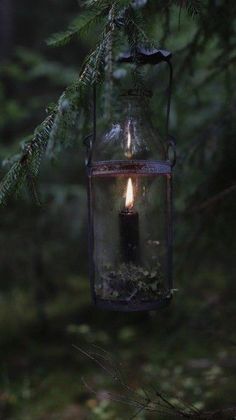 a lantern hanging from a tree with a candle in it's glass jar on the branch