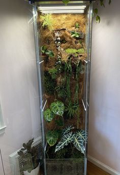 a glass case with plants in it sitting on the floor next to a planter