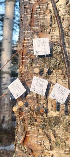 several signs are attached to the bark of a tree