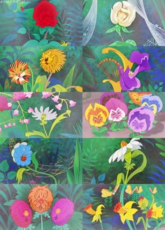 an image of flowers and plants in the wild with different color variations to choose from