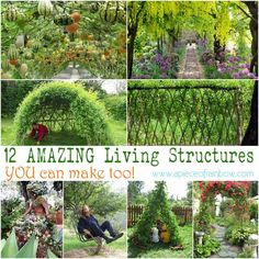 there are many pictures of plants and trees in the garden with words that read 12 amazing living structures you can make too