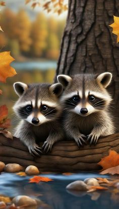 two raccoons are sitting on a boat in the water and fall leaves around them