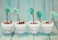 four small potted plants with words written on them