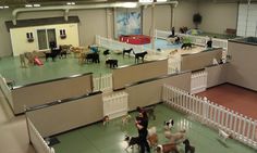 an indoor dog park with several dogs and people in the area, including one person