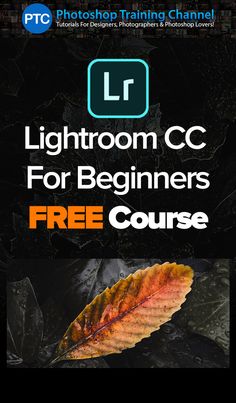 the lightroom cc for beginners course is shown with an image of a leaf