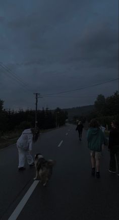 people walking down the road with a dog in front of them on a cloudy night