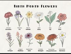 an image of birth month flowers