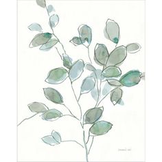 a watercolor painting of leaves on a white background