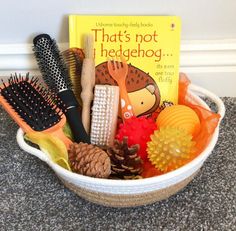 Hedgehog Tuff Tray, Autumn Nursery Activities, Sensory Tray Ideas, Sensory Basket, Story Baskets, Story Sack, Treasure Basket, Toddler Curriculum, Infant Classroom