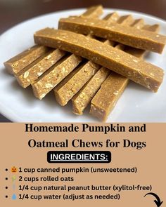 homemade pumpkin and oatmeal chews for dogs on a white plate with instructions