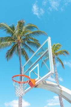 a basketball hoop with palm trees in the background