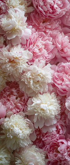 many pink and white flowers are in the middle of a large pile or flower petals