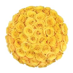 a bouquet of yellow roses arranged in a round arrangement on a white background with room for text