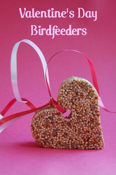 valentine's day birdfeeders on pink background with ribbon in shape of heart