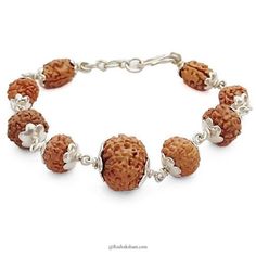 "This is a Powerful and unique Rudraksha Navagraha Bracelet. The Navgrah Rudraksha Beads Bracelet consists of Rudraksha from 2 Mukhi to 9 mukhi and 12 Mukhi (1 Bead each). This Bracelet appeases all the negative planets and gives power to benefic planets. Navgarh Rudraksha Bracelet should definitely be worn by everyone. This is a Powerful and unique Rudraksha Navagraha Bracelet. The Navgrah Rudraksha Beads Bracelet consists of Rudraksha from 2 Mukhi to 9 mukhi and 12 Mukhi (1 Bead each). This Br Spiritual Beaded Bracelets For Festivals, Spiritual Polished Beads Bracelets For Meditation, Spiritual Bracelets With Polished Beads For Meditation, Spiritual Gemstone Beads Bracelet For Festivals, Gemstone Beaded Bracelets For Festivals And Gifts, Traditional Hand-strung Bracelets For Meditation, Traditional Brown Bracelet For Rituals, Spiritual Brown Bracelet For Rituals, Spiritual Bangle Bracelet With Polished Beads