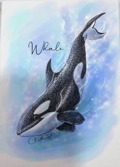 an orca whale with the words wake on it