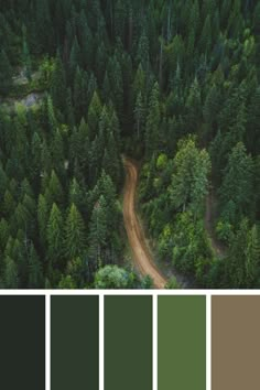 an aerial view of a forest with trees and a dirt road in the foreground