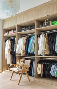 California Closets, Custom Closet, Walk In Closet, Women's Closet, Closet Storage, Closet Organization, Closet Design Custom Walk In Closet, Walk In Closet Luxury, Closet Organization Designs, Closet Small Bedroom, Closet Luxury, Home Closet, California Closets, Fashion Walk, Modern Closet