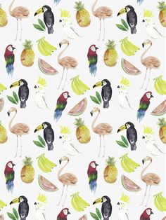 tropical birds and pineapples on a white background