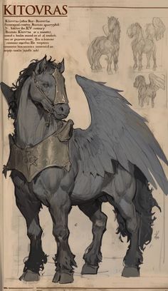 a drawing of a horse with wings on it's back and the words kitovras written below