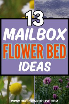 flowers with text that reads 13 mailbox flower bed ideas