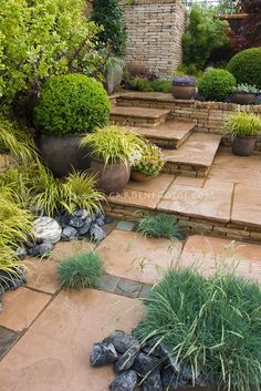 an outdoor garden with steps, plants and rocks